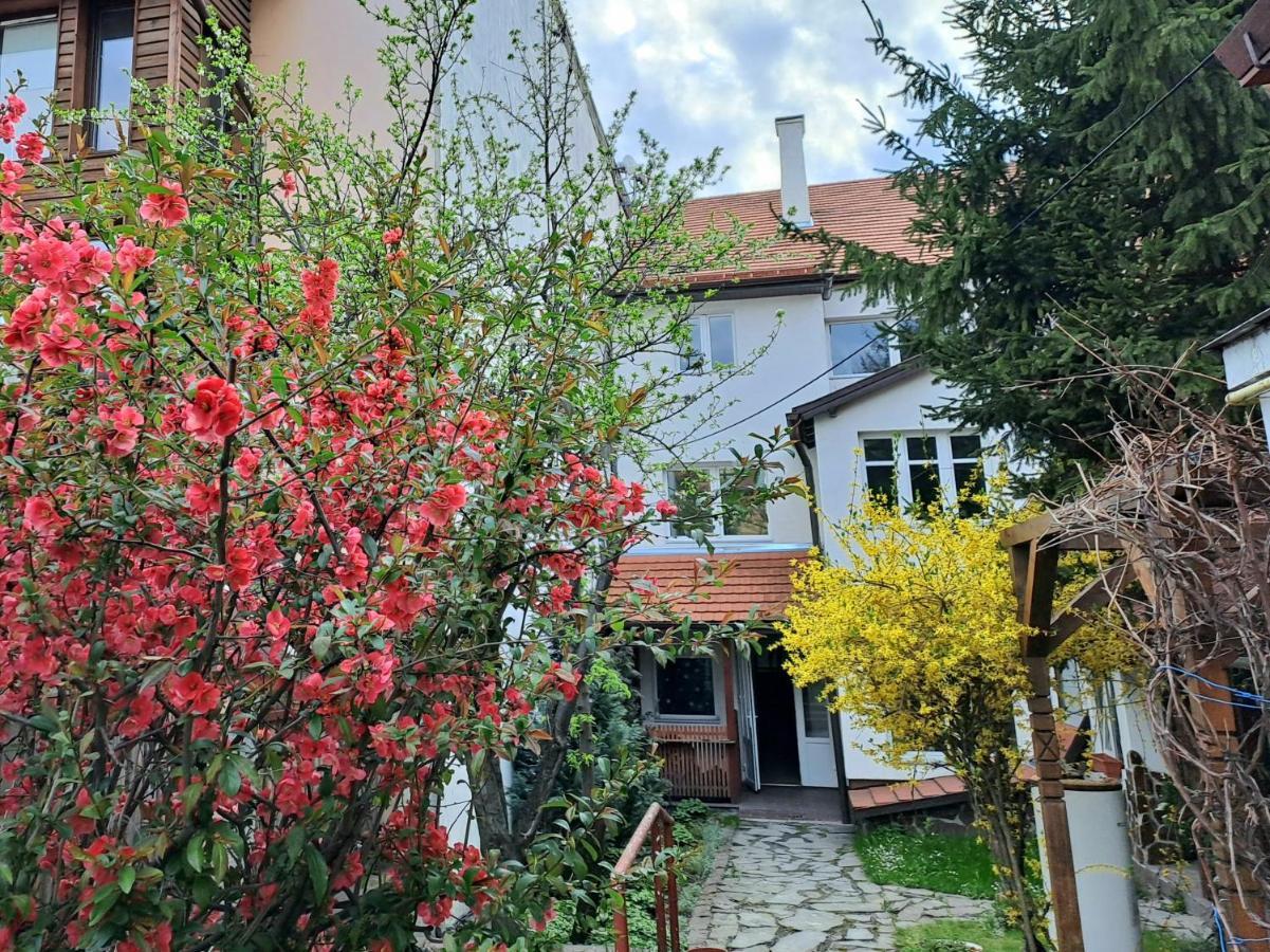 7 Level Central Apartments М'єркуря-Чук Екстер'єр фото