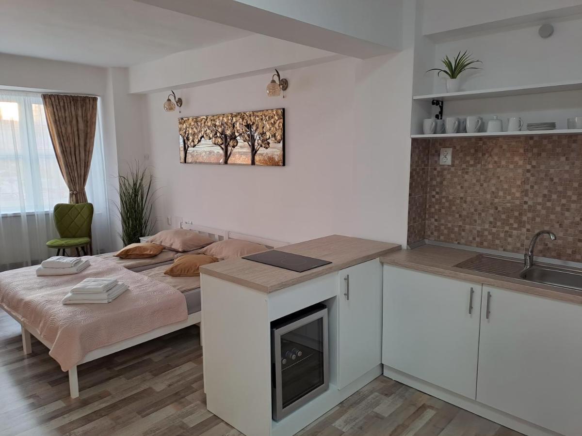 7 Level Central Apartments М'єркуря-Чук Екстер'єр фото