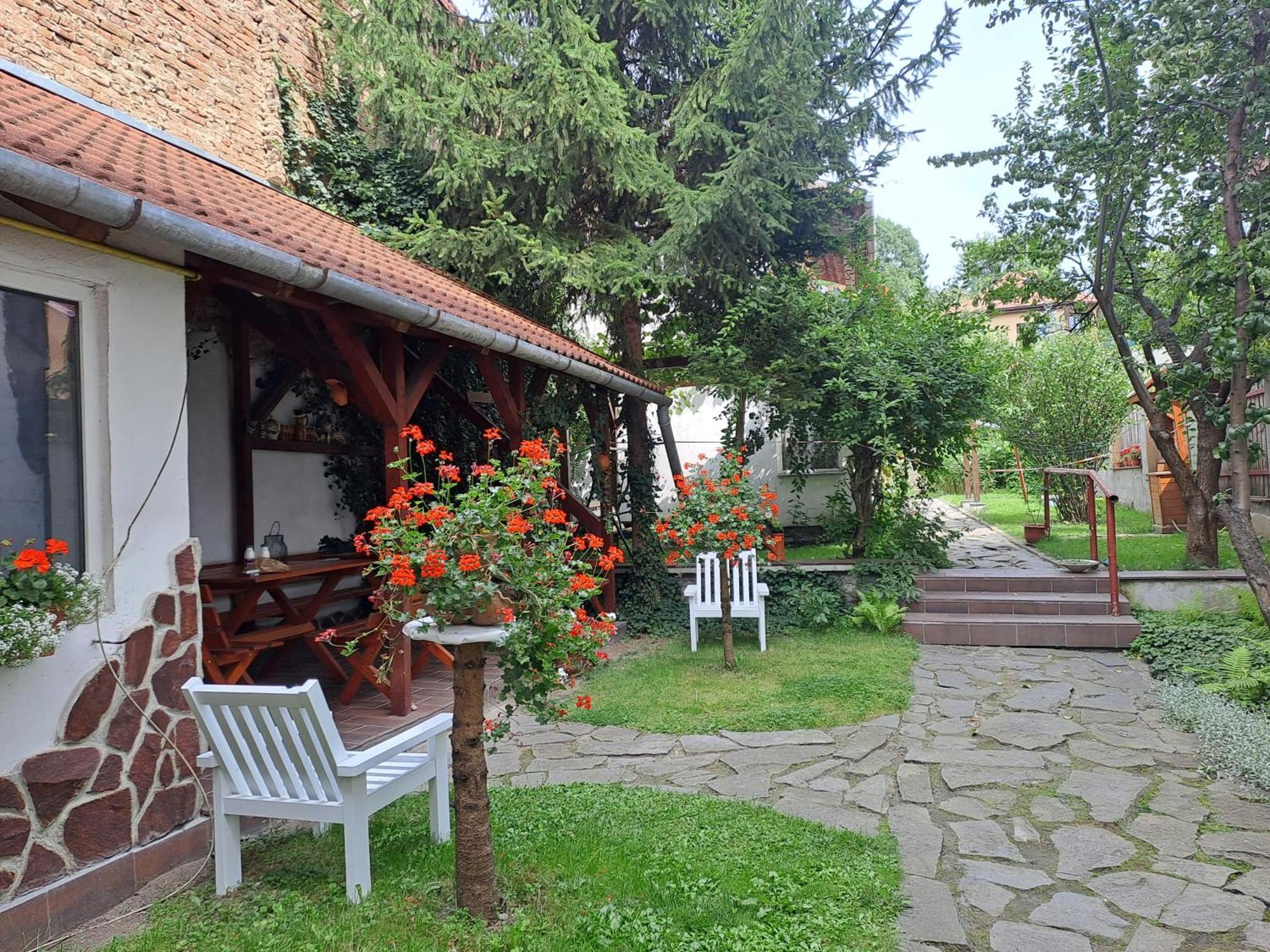 7 Level Central Apartments М'єркуря-Чук Екстер'єр фото