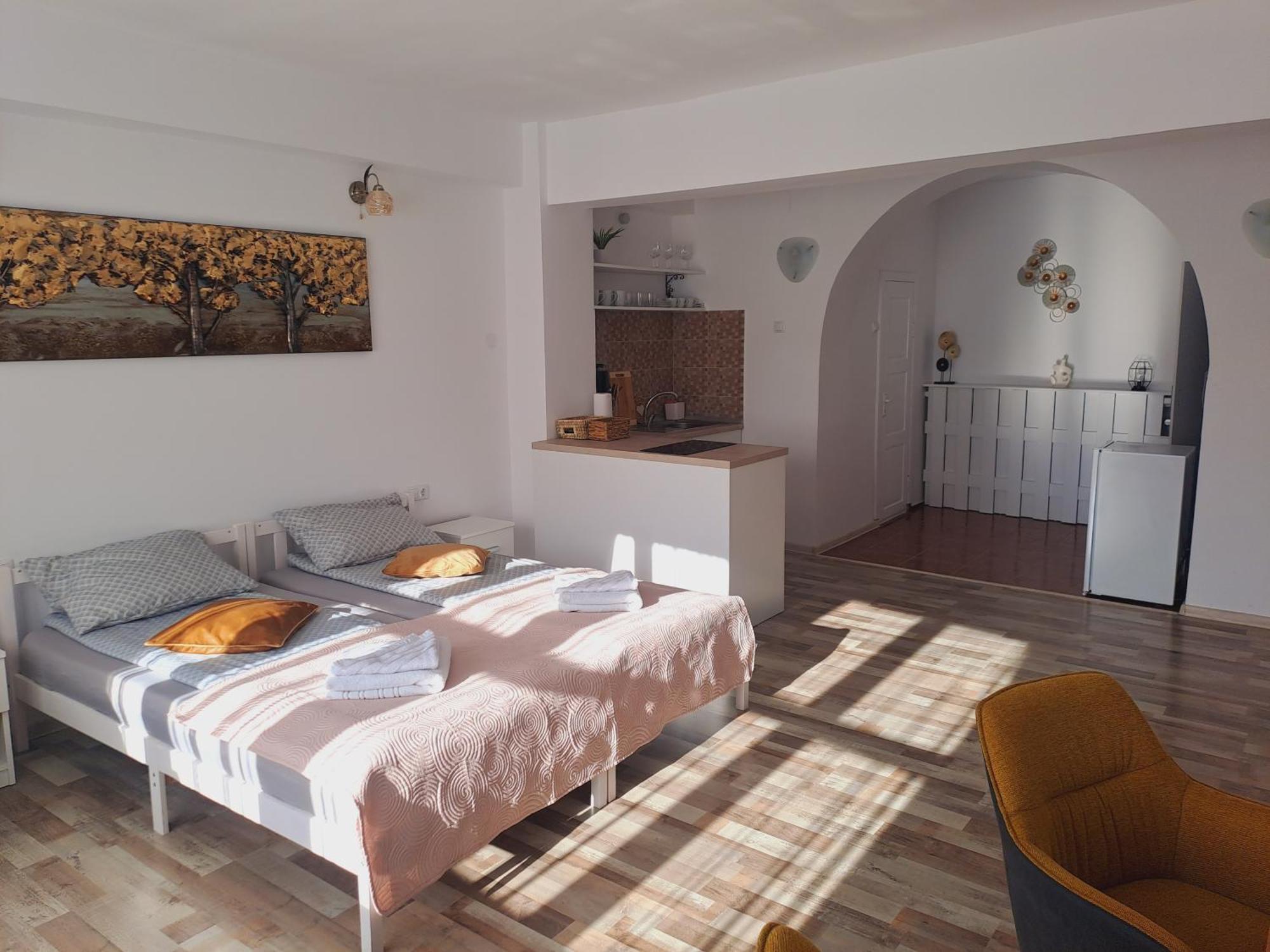 7 Level Central Apartments М'єркуря-Чук Номер фото